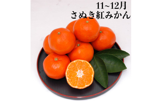 【果物を贅沢に味わう】 丸亀のフルーツ定期便 全6回 キウイ いちご 不知火 桃 シャインマスカット みかん さぬきひめ さぬき紅みかん 香緑 香川県 丸亀市