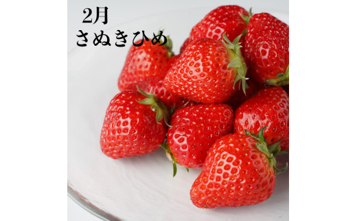 【果物を贅沢に味わう】 丸亀のフルーツ定期便 全6回 キウイ いちご 不知火 桃 シャインマスカット みかん さぬきひめ さぬき紅みかん 香緑 香川県 丸亀市