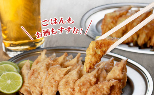 冷凍餃子 選べる容量 にんにくあり 30個×2p 餃子 セット ぎょうざ ギョウザ にんにく 青森 肉 お肉 豚肉 豚 鶏肉 鳥 おつまみ 加工品 肉汁 惣菜 お弁当 冷凍ストック 寺岡商店 香川県 丸亀市