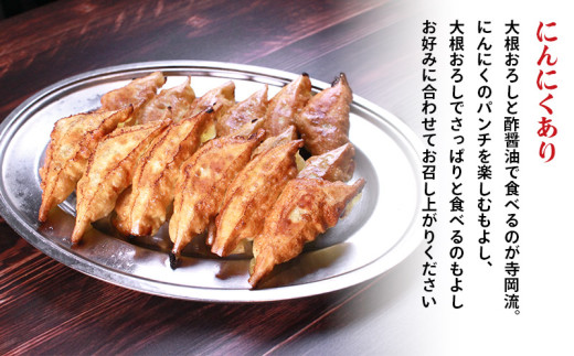 冷凍餃子 選べる容量 にんにくあり 30個×2p 餃子 セット ぎょうざ ギョウザ にんにく 青森 肉 お肉 豚肉 豚 鶏肉 鳥 おつまみ 加工品 肉汁 惣菜 お弁当 冷凍ストック 寺岡商店 香川県 丸亀市
