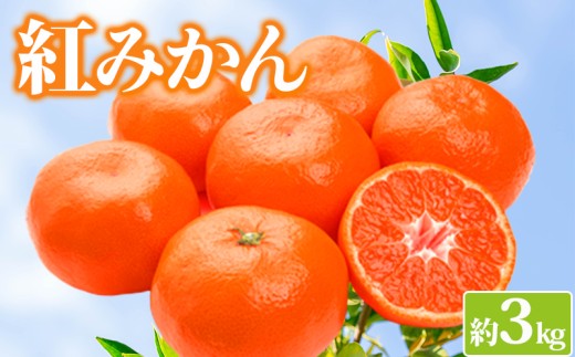 [先行予約]みかん 約3kg 紅みかん 柑橘 ミカン 蜜柑 オレンジ 果物 くだもの フルーツ 果実 家庭用 12月〜 順次発送 香川県 丸亀市