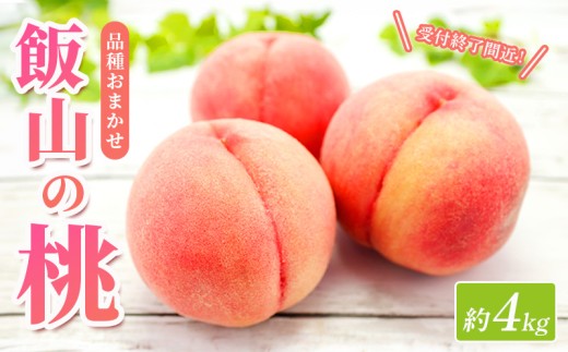 【先行予約】桃 約 4kg もも モモ 白桃 ピーチ 果物 くだもの フルーツ 果実 飯山の桃 旬 新鮮 箱入り 冷蔵 贈答 ギフト プレゼント お中元 香川県丸亀市