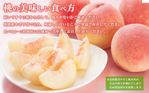 【先行予約】桃 約 4kg もも モモ 白桃 ピーチ 果物 くだもの フルーツ 果実 飯山の桃 旬 新鮮 箱入り 冷蔵 贈答 ギフト プレゼント お中元 香川県丸亀市