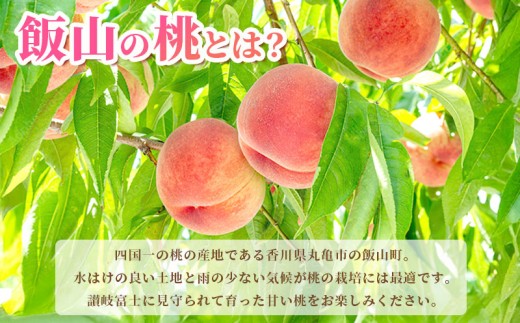 【先行予約】桃 約 4kg もも モモ 白桃 ピーチ 果物 くだもの フルーツ 果実 飯山の桃 旬 新鮮 箱入り 冷蔵 贈答 ギフト プレゼント お中元 香川県丸亀市