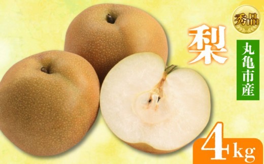 【2026年8月上旬より順次発送】【秀品】梨  約4kg 丸亀産 ナシ 果物 フルーツ 果肉 果汁 季節 甘い デザート ゼリー ジュース ふるさと納税フルーツ 香川県 丸亀市