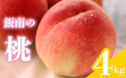 【2026年6月下旬より順次発送】 桃 約4kg 飯南の桃 もも モモ 果物 くだもの 果実 フルーツ 旬 旬の果物 デザート スイーツ おやつ ゼリー ジュース 人気果物 人気フルーツ ランキング 香川 丸亀