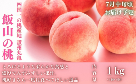 ãå
š3åããã«ãŒãå®æäŸ¿ãäžžäºåžå€ã®ãããšãã©ãå®æäŸ¿ãïœå°äººæ°ã§ã楜ãã¿ãããé£ã¹ããçïœ/ã·ã£ã€ã³ãã¹ã«ãã æ¡ ããªãŒã 宿é
é é åžäŒ æå® æç© ãã«ãŒã æ¬ã®ãã«ãŒã ãã«ãŒãã®ãã ãã«ãŒã宿 ãã«ãŒãå®æäŸ¿ æç©å®æ æç©å®æäŸ¿ äººæ°æç© äººæ°ãã«ãŒã å€ãã«ãŒã