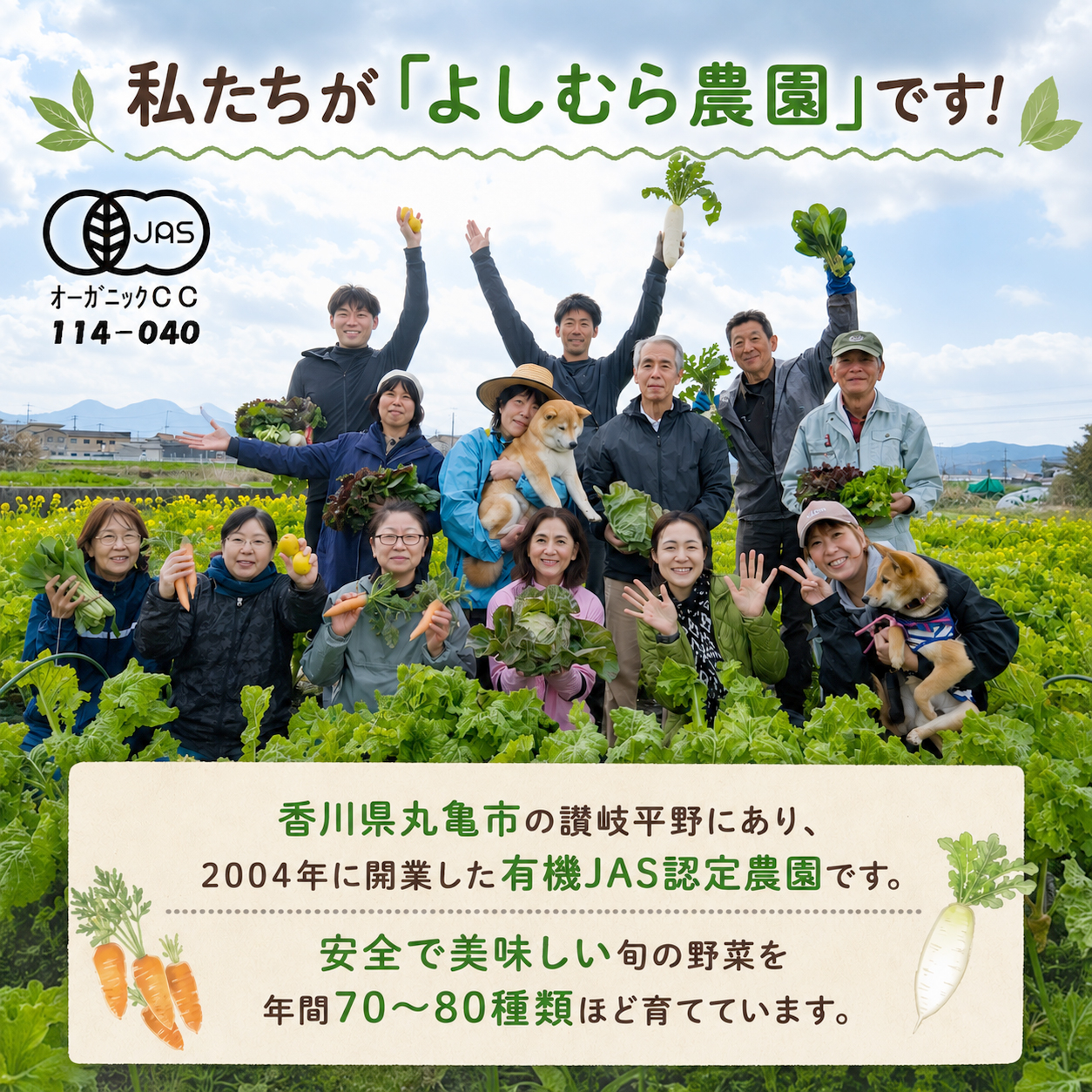 野菜 定期便 12回 詰め合わせ 10種 よしむら農園 オーガニック 有機 有機野菜 やさい ベジタブル おまかせ セット 一人暮らし おすすめ レタス とうもろこし トマト 有機栽培 JAS 栄養 贅沢 国産 大容量 人気 新鮮 今が旬 香川県 丸亀市