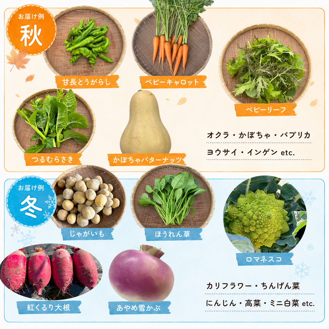 野菜 定期便 12回 詰め合わせ 10種 よしむら農園 オーガニック 有機 有機野菜 やさい ベジタブル おまかせ セット 一人暮らし おすすめ レタス とうもろこし トマト 有機栽培 JAS 栄養 贅沢 国産 大容量 人気 新鮮 今が旬 香川県 丸亀市
