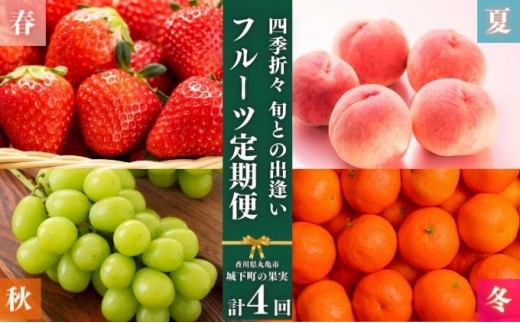 フルーツ 定期便 4回　旬に出逢う城下町の果実 定期配送 いちご 桃 シャインマスカット みかん ぶどう 果実 果物 フルーツ 旬のフルーツ フルーツギフト フルーツ定期 フルーツ定期便 果物定期 果物定期便 人気果物 人気フルーツ 香川県 丸亀市