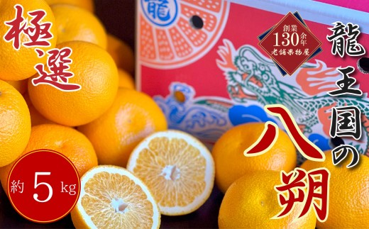 【2027年3月中旬より順次発送】【極選】龍王国の八朔 約5kg  はっさく ハッサク 柑橘 果物 フルーツ 果実 みかん ふるさと納税みかん 美味しい 人気 旬のフルーツ 旬の果物 フルーツギフト 果物ギフト お取り寄せ 香川県 丸亀市