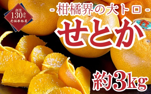 【2027年2月中旬～発送開始】せとか 約3kg 柑橘界の大トロ フルーツ 果物 果実 柑橘 柑橘類 オレンジ みかん 人気 旬 季節のフルーツ 旬のフルーツ デザート おやつ 旬の果物 季節の果物 香川 香川県 丸亀 丸亀市 先行 予約
