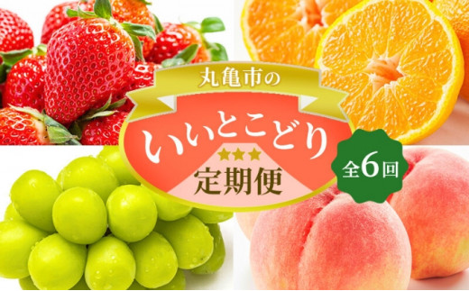 フルーツ 定期便 6ヶ月 丸亀市のいいとこどり定期便 セット 詰め合わせ 桃 ニューピオーネ シャインマスカット みかん いちご デコポン さぬきひめ せとか 果物 6回 半年 デザート フルーツ定期 フルーツ定期便 果物定期 果物定期便 人気果物 人気フルーツ 香川 丸亀
