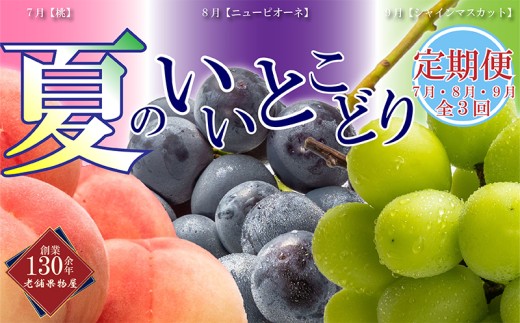 【全3回】 フルーツ定期便 丸亀市夏のいいとこどり定期便 シャインマスカット 桃 ピオーネ  定期配送 頒布会 果実 果物 フルーツ 旬のフルーツ フルーツギフト フルーツ定期 フルーツ定期便 果物定期 果物定期便 人気果物 人気フルーツ 夏フルーツ  香川 丸亀