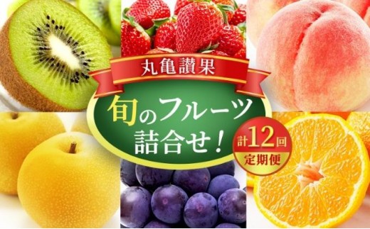 【丸亀讃果】【定期便 12ヶ月】今が旬の厳選果実 詰め合わせ 桃 梨 ぶどう マスカット キウイ 柿 みかん いちご せとか はっさく デコポン オレンジ 清見オレンジ 旬の果物 果物 くだもの 12回 1年 お楽しみ 詰合せ デザート フルーツ定期 フルーツ定期便 果物定期 果物定期便 人気果物 人気フルーツ 香川 丸亀