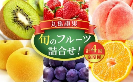 【丸亀讃果】【定期便 4ヶ月】 今が旬の厳選果実 詰め合わせ 旬のフルーツ 食べ比べ いちご みかん デコポン びわ 桃 梨 ぶどう 柿 キウイ 柑橘 柑橘類 果物 デザート おやつ 旬 産地直送 旬の果物  フルーツギフト フルーツ定期 フルーツ定期便 果物定期 果物定期便 人気果物 人気フルーツ お取り寄せ 冷蔵 冷蔵配送 定期 4回