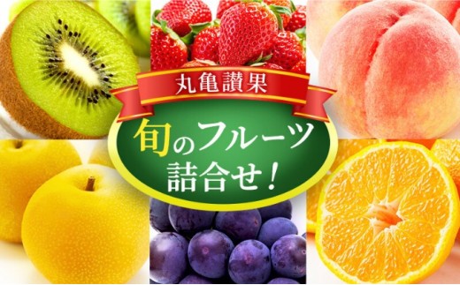 フルーツ 詰め合わせ セット 丸亀讃果(1回便) 今が旬の厳選果実 旬のフルーツ 食べ比べ いちご みかん デコポン びわ 桃 梨 ぶどう 柿 キウイ 柑橘 柑橘類 果物 デザート おやつ 旬 産地直送 旬の果物 お取り寄せ 取り寄せ フルーツギフト 人気果物 人気フルーツ  送料無料 冷蔵 冷蔵配送 香川