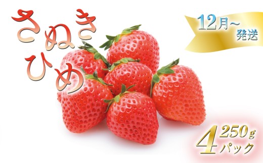 いちごのお姫様 さぬきひめ 12月中旬から順次発送 選べる容量 約250g×4パック 苺 いちご 果物 フルーツ 果物 ブランド さぬき姫 ジューシー 果汁 甘い 季節 デザート スイーツ ふるさと納税いちご ふるさと納税フルーツ 国産 香川県 丸亀市