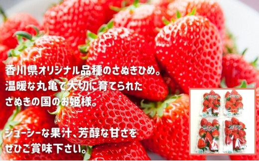 いちごのお姫様 さぬきひめ 12月中旬から順次発送 選べる容量 約250g×4パック 苺 いちご 果物 フルーツ 果物 ブランド さぬき姫 ジューシー 果汁 甘い 季節 デザート スイーツ ふるさと納税いちご ふるさと納税フルーツ 国産 香川県 丸亀市