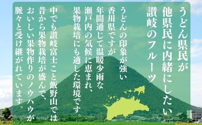 いちごのお姫様 さぬきひめ 12月中旬から順次発送 選べる容量 約250g×4パック 苺 いちご 果物 フルーツ 果物 ブランド さぬき姫 ジューシー 果汁 甘い 季節 デザート スイーツ ふるさと納税いちご ふるさと納税フルーツ 国産 香川県 丸亀市