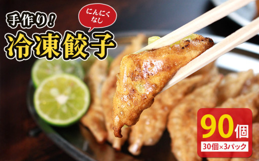 冷凍餃子 選べる単品 にんにくなし 30個×3p 餃子 セット ぎょうざ ギョウザ にんにく 不使用 肉 お肉 豚肉 豚 鶏肉 鳥 おつまみ 加工品 肉汁 惣菜 お弁当 冷凍ストック 寺岡商店 香川県 丸亀市