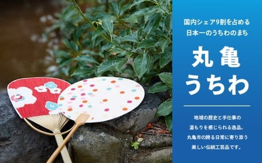【先行予約】みかん 約10kg 柑橘 ミカン 蜜柑 オレンジ 果物 くだもの フルーツ 果実 ギフト 贈答用 プレゼント 11月～ 順次発送 香川県 丸亀市