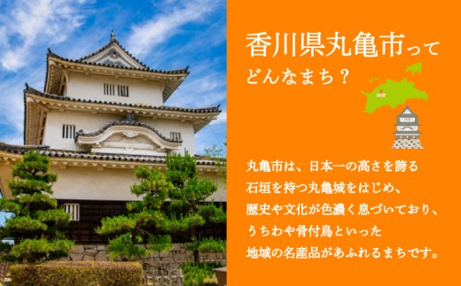 【先行予約】みかん 約10kg 柑橘 ミカン 蜜柑 オレンジ 果物 くだもの フルーツ 果実 ギフト 贈答用 プレゼント 11月～ 順次発送 香川県 丸亀市