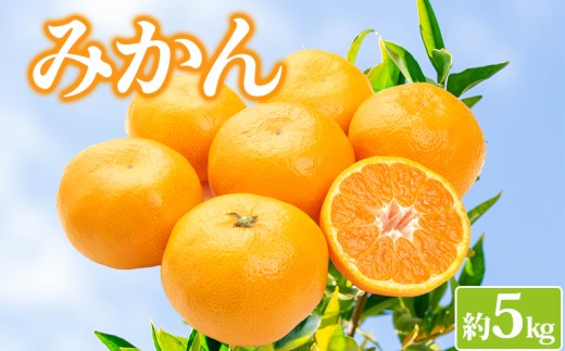 [先行予約]みかん 約5kg 柑橘 ミカン 蜜柑 オレンジ 果物 くだもの フルーツ 果実 ギフト 贈答用 プレゼント 11月〜 順次発送 香川県 丸亀市