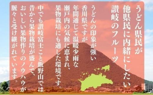 先行予約 デコポン 家庭用 約5kg 不知火 しらぬい 柑橘 果物 フルーツ 果実 みかん ふるさと納税 スイーツ デザート ジュース ゼリー ジャム 人気 ふるさと納税 フト プレゼント 贈答 お取り寄せ 送料無料 香川県 丸亀市 【2027年3月中旬以降発送開始】