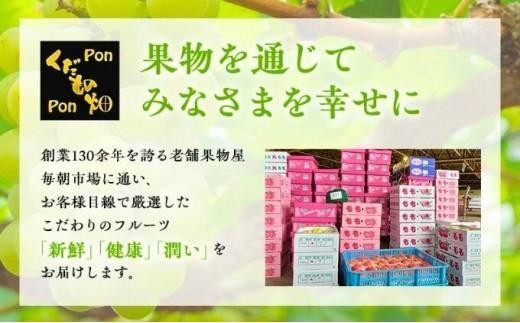 先行予約 デコポン 家庭用 約5kg 不知火 しらぬい 柑橘 果物 フルーツ 果実 みかん ふるさと納税 スイーツ デザート ジュース ゼリー ジャム 人気 ふるさと納税 フト プレゼント 贈答 お取り寄せ 送料無料 香川県 丸亀市 【2027年3月中旬以降発送開始】