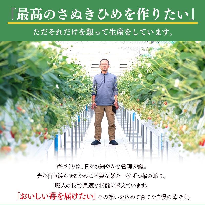 【全3回定期便】丸亀の3人の匠が育てた厳選フルーツ定期便 もも シャインマスカット いちご お中元 贈答 ギフト 香川 丸亀市