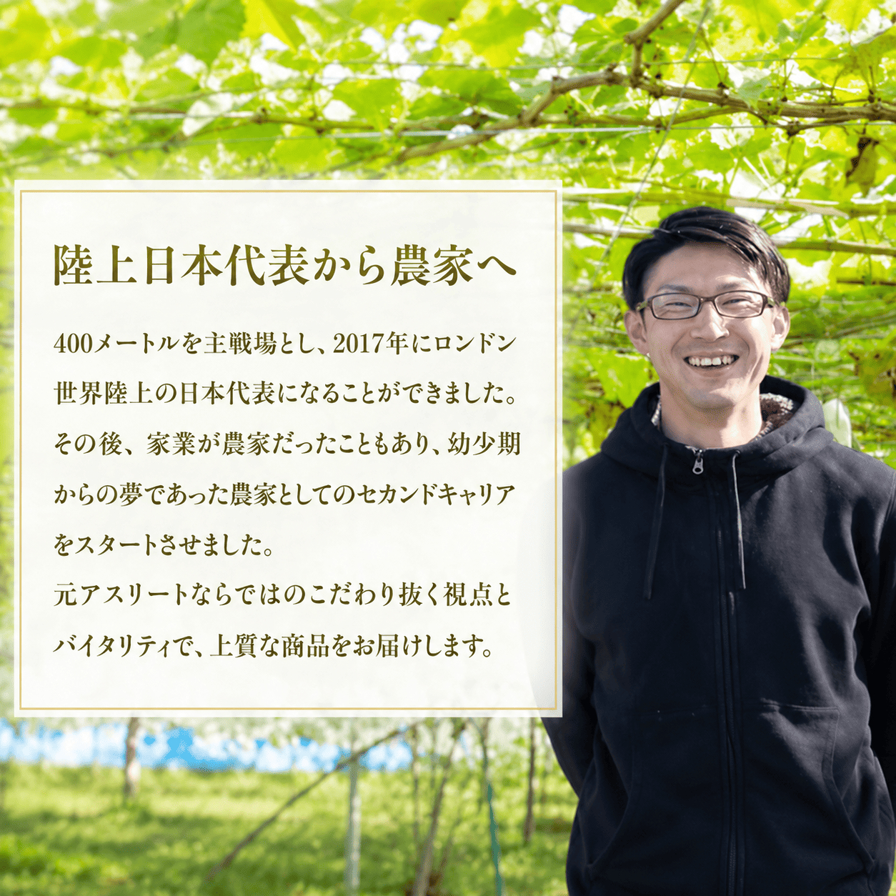 【全3回定期便】丸亀の3人の匠が育てた厳選フルーツ定期便 もも シャインマスカット いちご お中元 贈答 ギフト 香川 丸亀市
