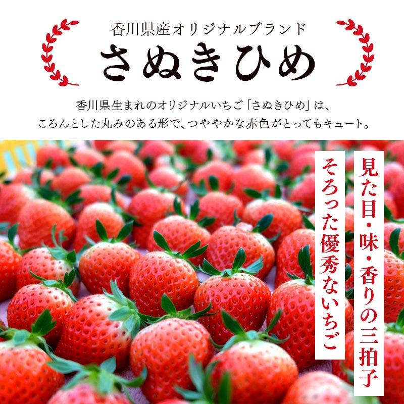 【全3回定期便】丸亀の3人の匠が育てた厳選フルーツ定期便 もも シャインマスカット いちご お中元 贈答 ギフト 香川 丸亀市