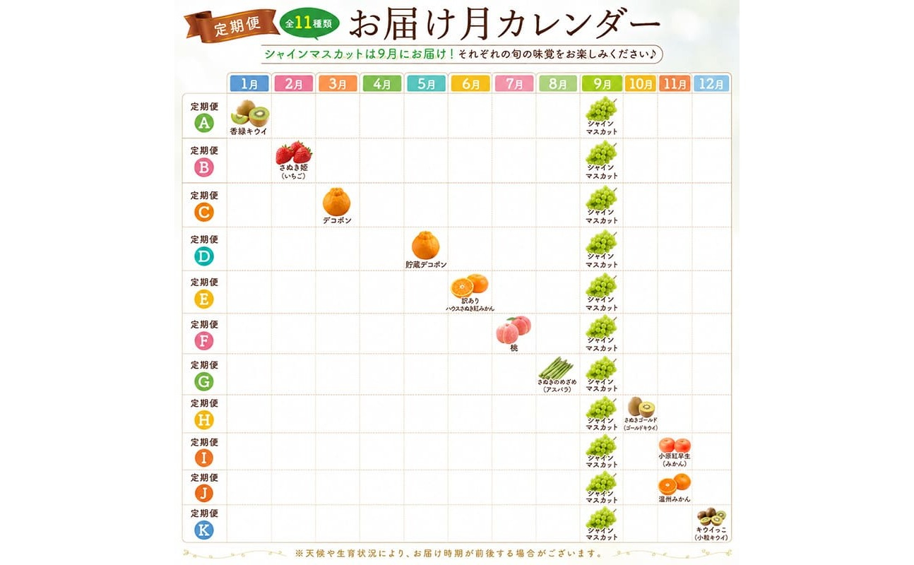 定期便 2回 シャインマスカット キウイ 香緑 グリーンキウイ キウイフルーツ ぶどう 果物 フルーツ 旬 旬のフルーツ 贈答用 ギフト プレゼント 香川県 丸亀市