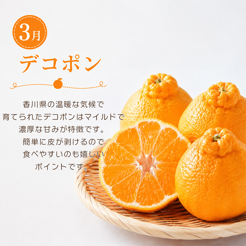 定期便 2回 シャインマスカット デコポン 不知火 しらぬひ しらぬい 柑橘 ぶどう 果物 フルーツ 旬 旬のフルーツ 贈答用 ギフト プレゼント 香川県 丸亀市
