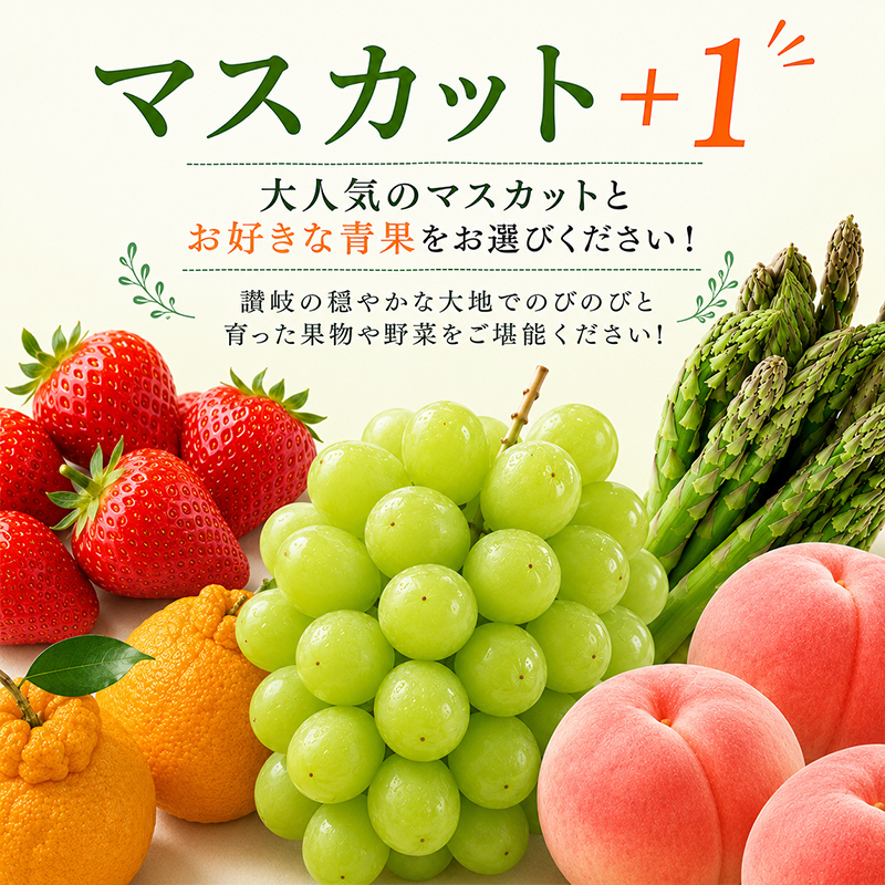 定期便 2回 シャインマスカット さぬきのめざめ アスパラ アスパラガス グリーンアスパラ ぶどう 果物 野菜 フルーツ 旬 旬のフルーツ 贈答用 ギフト プレゼント 香川県 丸亀市