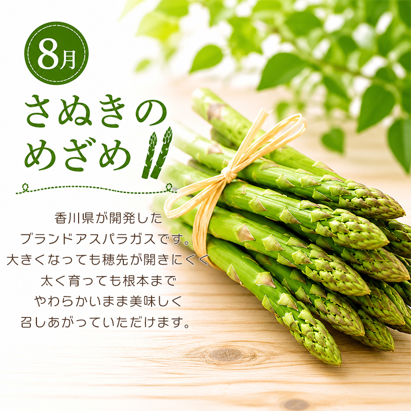 定期便 2回 シャインマスカット さぬきのめざめ アスパラ アスパラガス グリーンアスパラ ぶどう 果物 野菜 フルーツ 旬 旬のフルーツ 贈答用 ギフト プレゼント 香川県 丸亀市