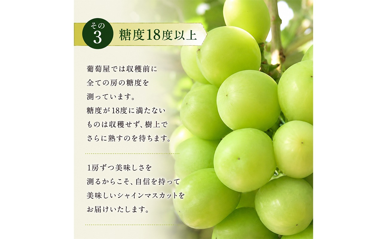 ã·ã£ã€ã³ãã¹ã«ãã å®æäŸ¿ 1kg 2å ææ¡ã ãã¹ã«ãã ãã«ãŒãå®æäŸ¿ ã¶ã©ã è¡è ãã㊠ãã«ãŒã æç© ãã ãã® æå® ãã«ãŒã æ¬ æ¬ã®æç© ãã¶ãŒã ã¹ã€ãŒã ãã〠ãŒãªãŒ ãžã¥ãŒã¹ äººæ°æç© äººæ°ãã«ãŒã ã©ã³ãã³ã° éŠå· äžžäº