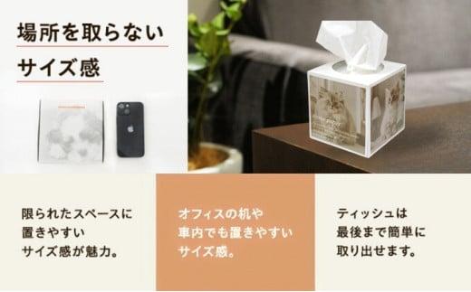 キューブ ティッシュ 選べる 42箱 80W 場所をとらない キューブ型 ティッシュ ティッシュペーパー 日用品 消耗品 生活用品 ボックスティシュ ティシュペーパー ノベルティ日用品  消耗品 生活用品 常備品 衛生用品 生活応援 消耗品 まとめ買い 防災 備蓄 必需品 生活雑貨 おしゃれ かわいい