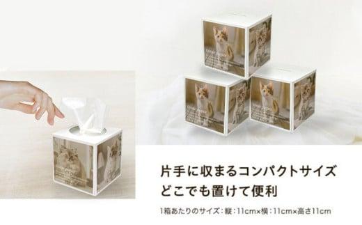 キューブ ティッシュ 選べる 42箱 80W 場所をとらない キューブ型 ティッシュ ティッシュペーパー 日用品 消耗品 生活用品 ボックスティシュ ティシュペーパー ノベルティ日用品  消耗品 生活用品 常備品 衛生用品 生活応援 消耗品 まとめ買い 防災 備蓄 必需品 生活雑貨 おしゃれ かわいい