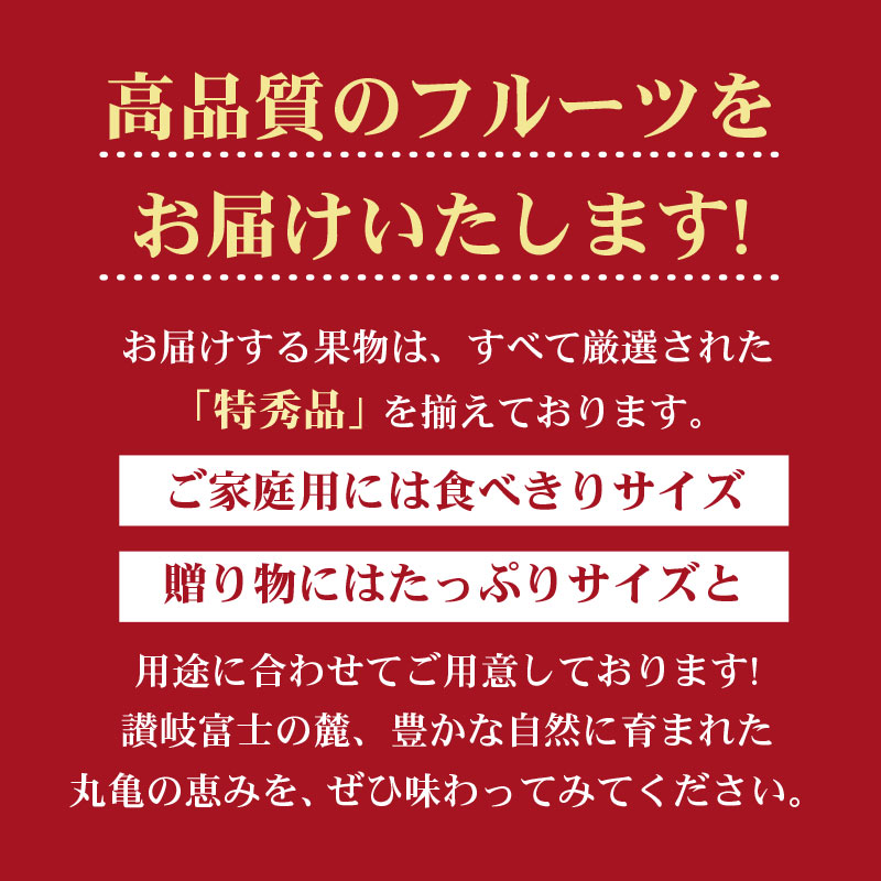 【定期便3回】 【満足パック】 フルーツ 果物 定期便  いちご 桃 シャインマスカット 苺 さぬきひめ もも 飯山の桃 飯山 詰め合わせ 旬のフルーツ 旬 ギフト フルーツ定期便 果物定期 果物定期便 人気果物  豪果絢爛 香川県 丸亀市