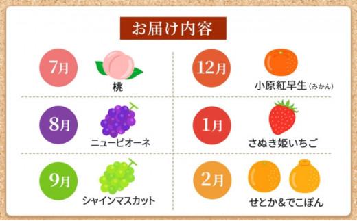 フルーツ定期便 丸亀市のいいとこどり定期便/ 少人数でも楽しみやすい食べきり版【全6回】シャインマスカット 桃 ピオーネ いちご みかん さぬきひめ 定期配送 頒布会 果実 果物 フルーツ 旬のフルーツ フルーツギフト フルーツ定期 フルーツ定期便 果物定期 果物定期便 人気果物 人気フルーツ 夏フルーツ 冬フルーツ