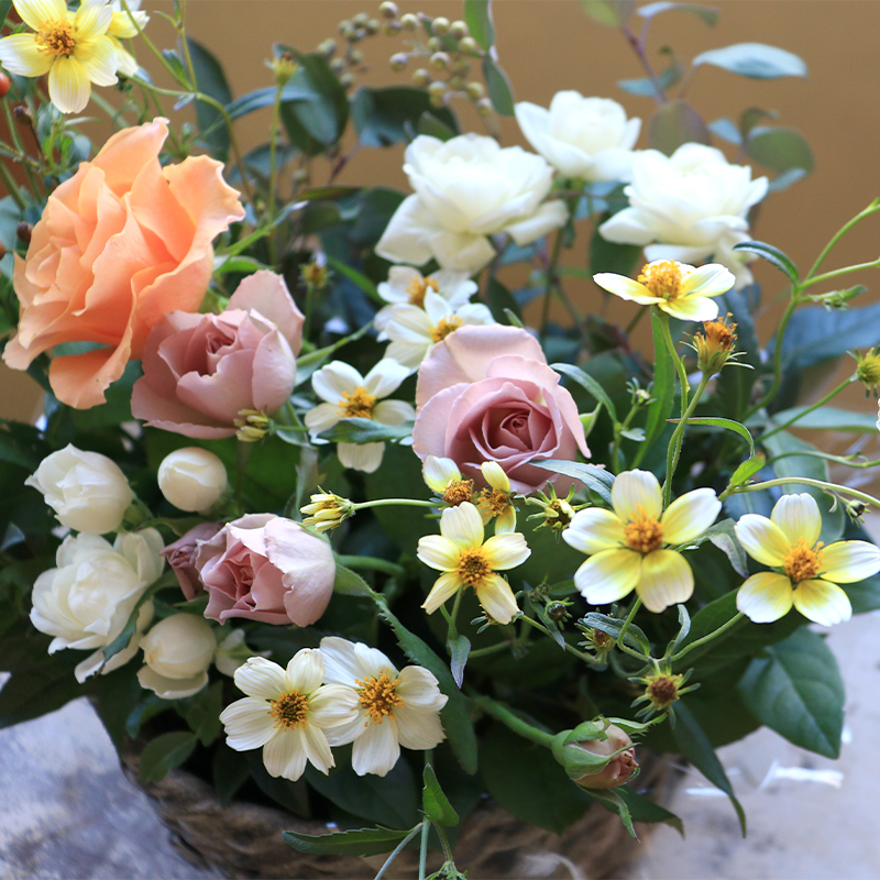 花 アレンジメント Mサイズ 生花 季節のお花 スワッグ 花束 花材 ブーケ 可愛い かわいい おしゃれ 記念日 ギフト インテリア 雑貨 植物 手作り プレゼント 贈り物 デコ リース お祝い 香川県 丸亀市