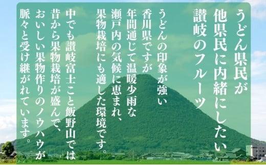 【9月配送】 シャインマスカット 約2kg マスカット シャインマスカット ぶどう 葡萄 ブドウ フルーツ 果物 くだもの 果実 フルーツ 旬 旬の果物 デザート スイーツ おやつ ゼリー ジュース 人気果物 人気フルーツ ランキング 香川 丸亀