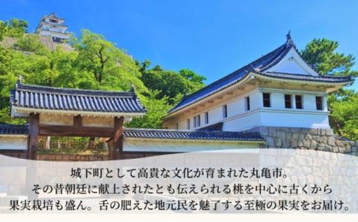 ãçŸæç¹ä¹±ã ãã«ãŒã å®æäŸ¿ 12ã¶æ åäžçºã®æå® ã»ãã è©°ãåãã ãã¡ã ã¿ãã ãã³ãã³ ã¯ã£ãã ã³ã æ¡ ããªãŒã 梚 ã·ã£ã€ã³ãã¹ã«ãã ãŽãŒã«ãããŠã€ æ¿ å¯ææ¿ ãã¬ãã²ã ããšã æç© 12å 1幎 ãæ¥œãã¿æå® æç© ãã«ãŒã æ¬ã®ãã«ãŒã ãã«ãŒãã®ãã ãã«ãŒã宿 ãã«ãŒãå®æäŸ¿