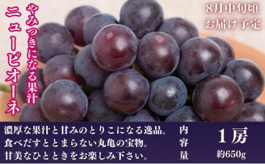 【全3回】フルーツ定期便「丸亀市夏のいいとこどり定期便」〜少人数でも楽しみやすい食べきり版〜/シャインマスカット 桃 ピオーネ  定期配送 頒布会 果実 果物 フルーツ 旬のフルーツ フルーツギフト フルーツ定期 フルーツ定期便 果物定期 果物定期便 人気果物 人気フルーツ 夏フルーツ