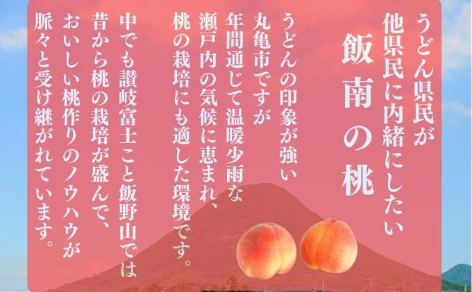 【2026年早期予約】特秀品 桃 約2kg（目安:6玉～8玉) 讃州丸亀 飯南の桃 飯山 贈答箱 もも モモ 果物 くだもの 果実 フルーツ 旬 旬の果物 デザート スイーツ おやつ ゼリー ジュース 人気果物 人気フルーツ ランキング 香川 丸亀