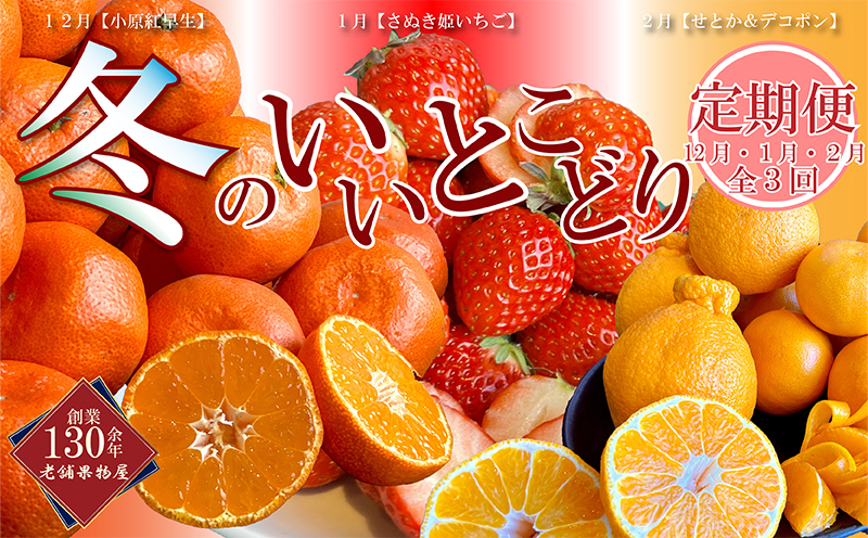 【全3回】 フルーツ定期便 温州みかん いちご せとか デコポン 小原紅早生 さぬき姫いちご みかん 蜜柑 オレンジ 苺 イチゴ 不知火 柑橘 高級 果物 フルーツ 定期便 デザート 果実 青果 甘い ジュース ゼリー ケーキ アイス シャーベット スイーツ 冬の味覚 国産 香川県 丸亀市 くだもの畑 PonPon