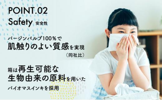 ボックスティッシュ 100箱 100Wタイプ 北欧風デザイン ティッシュペーパー ティッシュ ボックスティシュ ティシュペーパー 日用品 消耗品 生活用品 常備品 衛生用品 生活応援 消耗品 まとめ買い 防災 備蓄 必需品 生活雑貨 おしゃれ かわいい ふるさと納税 ふるさと納税ティッシュ ふるさと納税日用品