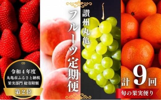 フルーツ 定期便 9回 丸亀のフルーツ 旬のお届け 果物 果物類 シャインマスカット みかん 桃 キウイ ぶどう 厳選 旬 詰め合わせ お楽しみ 香川県 丸亀市